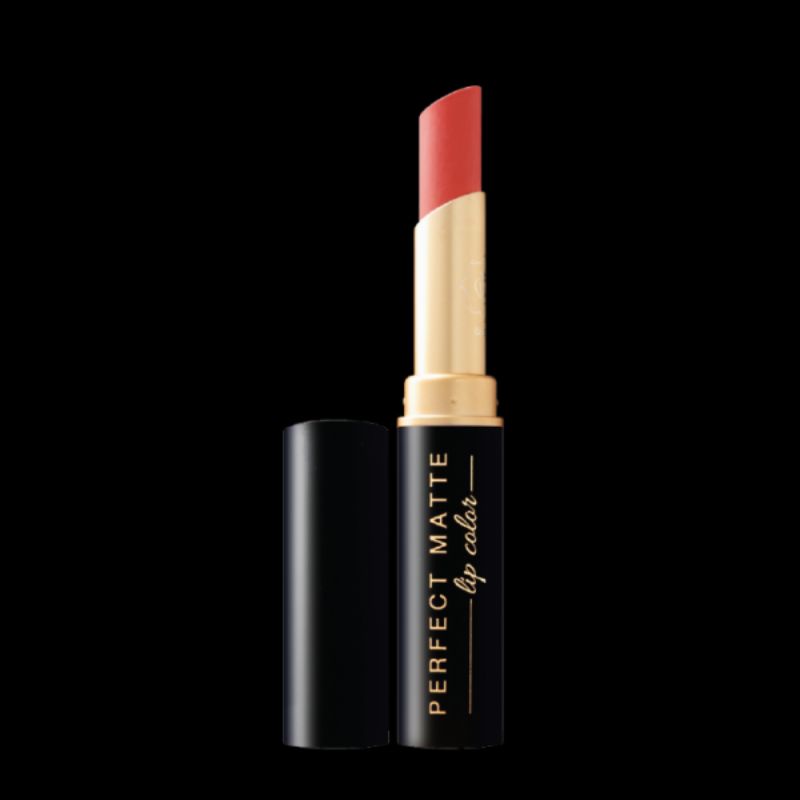 All Perfect Matte Lip Color