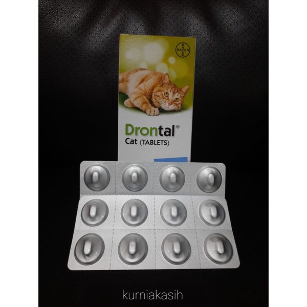 Obat Cacing Kucing. Drontal Cat Elanco