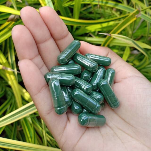 Spirulina Original