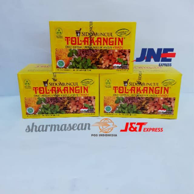Tolak angin cair (Per-Box)
