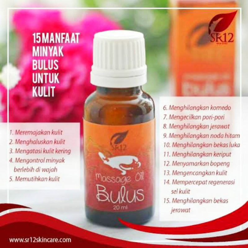 minyak bulus SR12