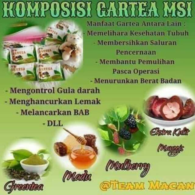 GARTEE MSI