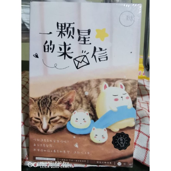 kartu pos kucing/cat postcard