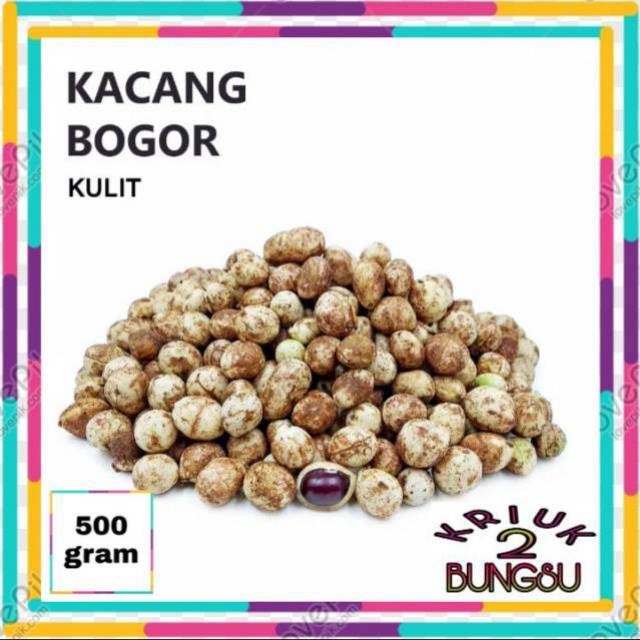 Kacang bogor
