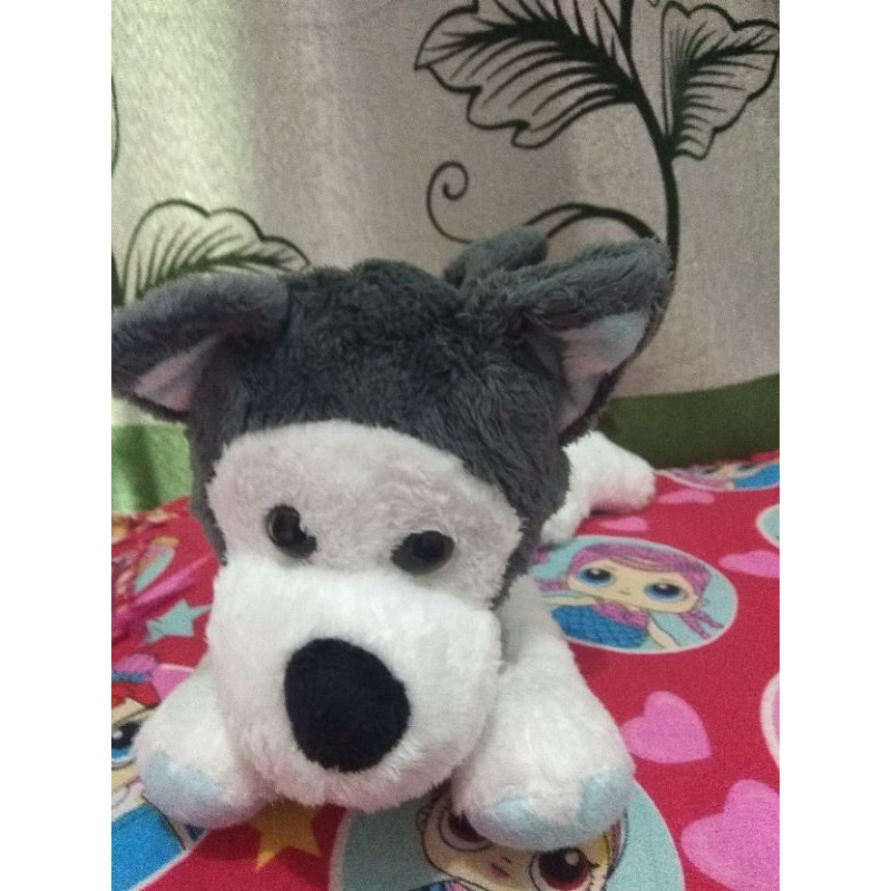 Guguk putih abu