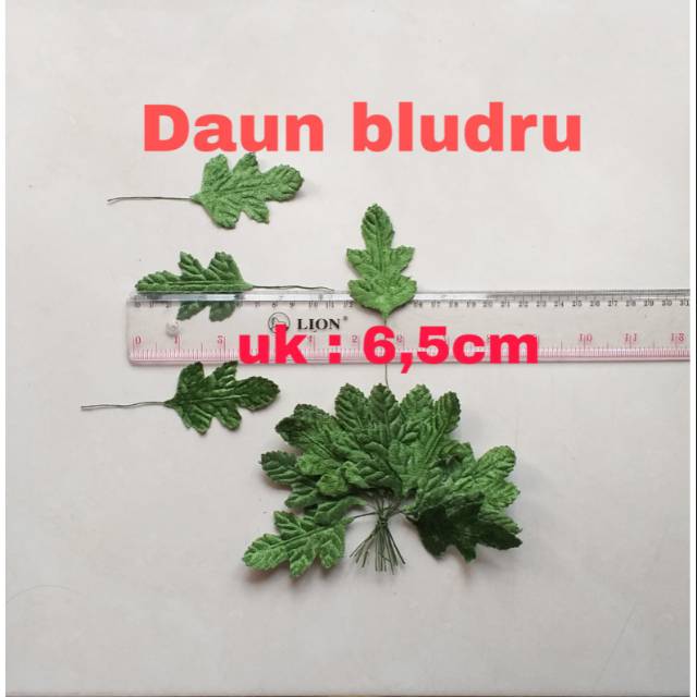 DAUN BLUDRU/LUSIN UK6,5cm