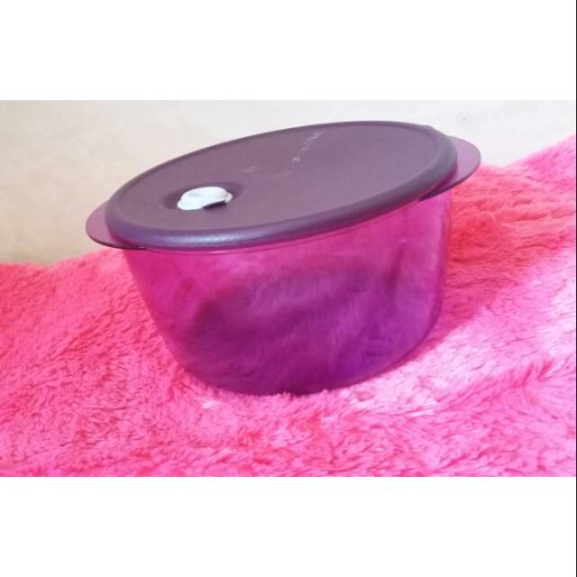 Tempat penyimpanan (tupperware)