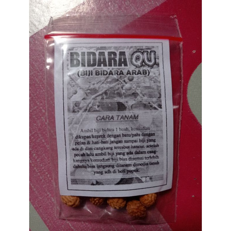 Biji Bidara Arab