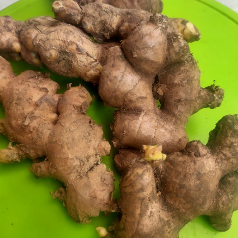 jahe segar 500gram