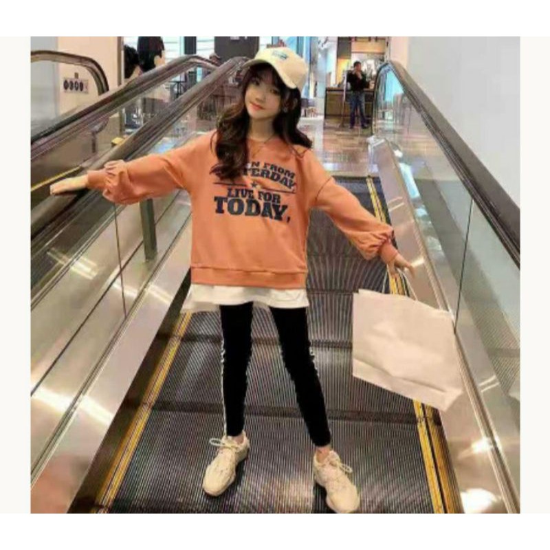 setelan import