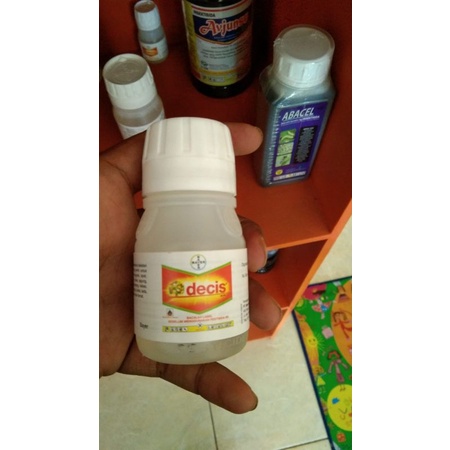 desis obat hama