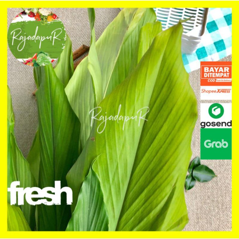 Daun Kunyit Segar 50-250gr