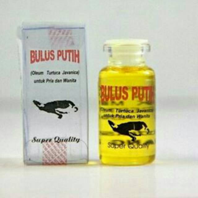 MINYAK BULUS PUTIH