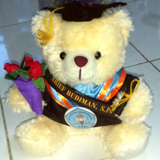Bear Wisuda Spesial Mika