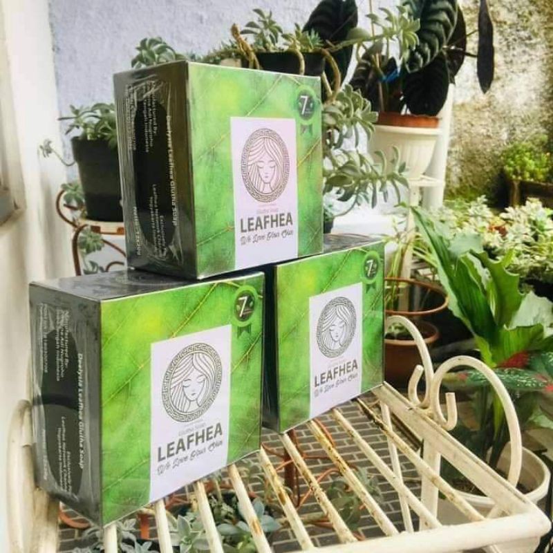 Leafhea
