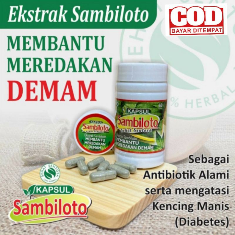 Ekstrak Sambiloto 60 Kapsul