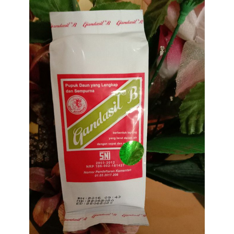 perangsang buah 100,gr