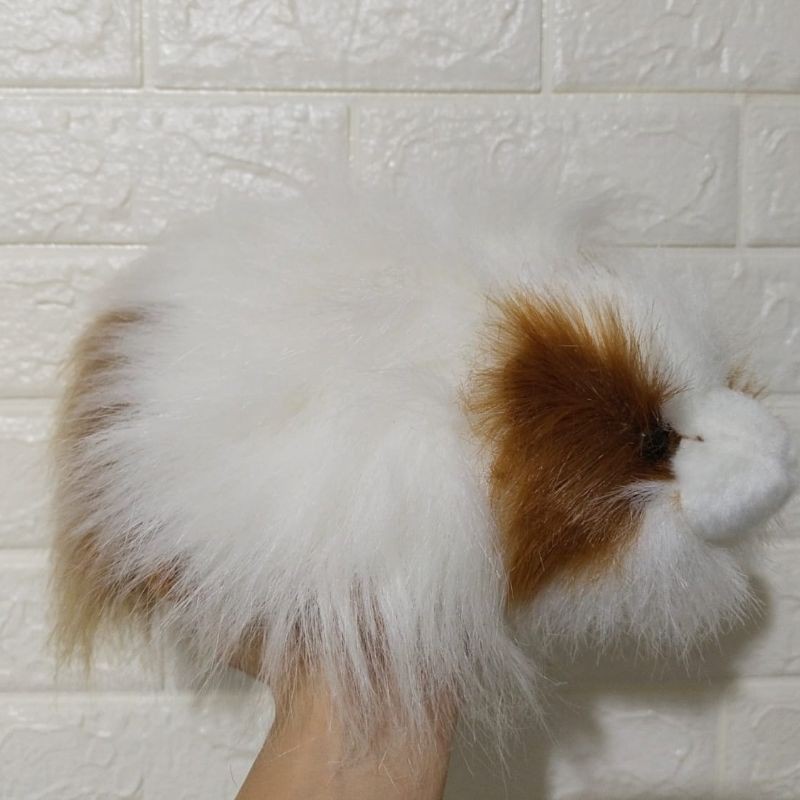 Boneka Marmut Lucu