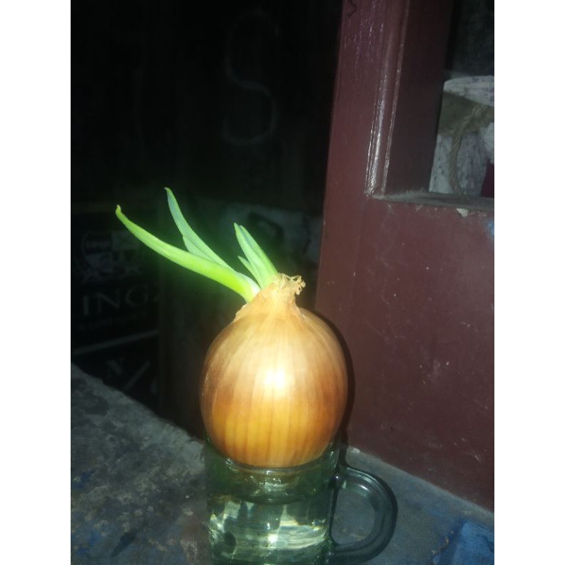 natura aloevera