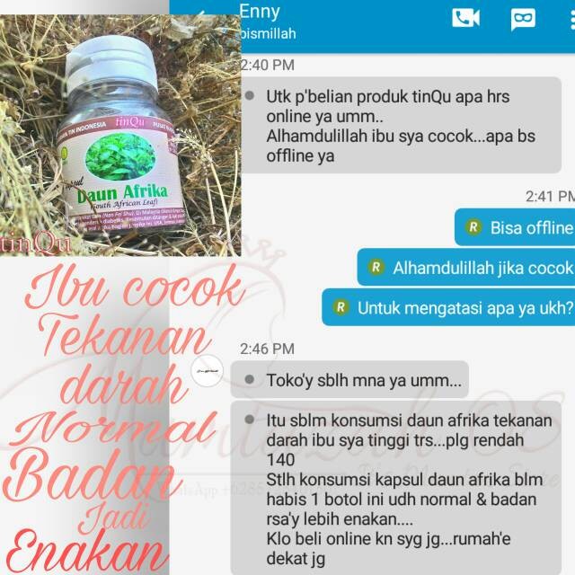 Kapsul Daun Afrika # Obat Darah Tinggi