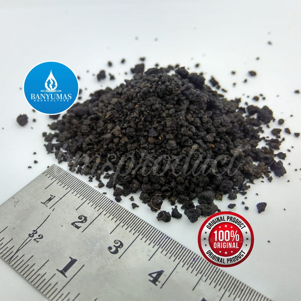 Pasir Malang Aquascape