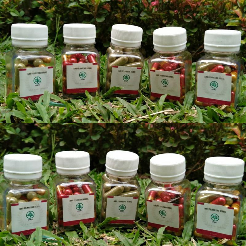 jamu pelangsing mix
