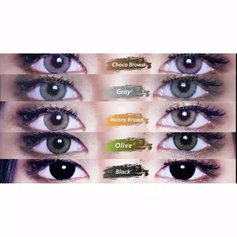 CURVE softlens by irislab - Normal dan minus