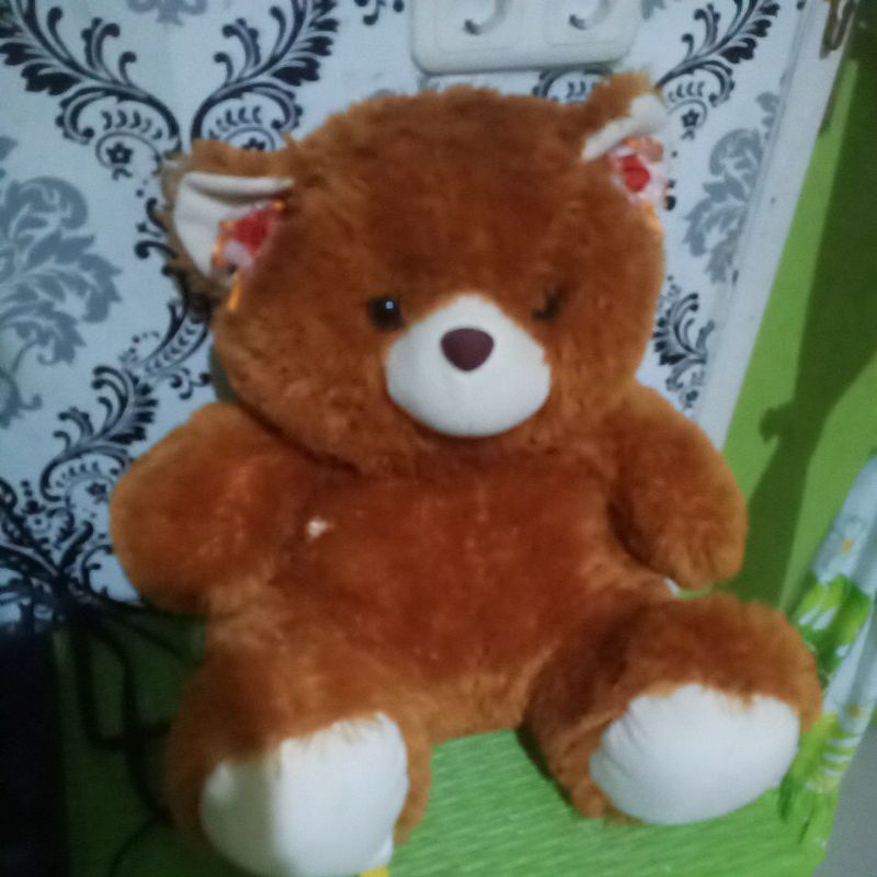 teddy bear