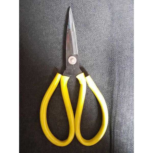 Gunting kodok 8" rush