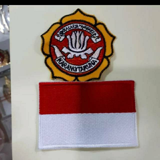 Logo karang taruna+bendera