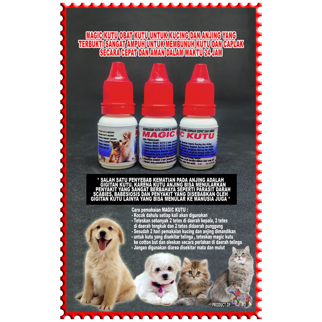 Magic Kutu obat kutu kucing dan anjing