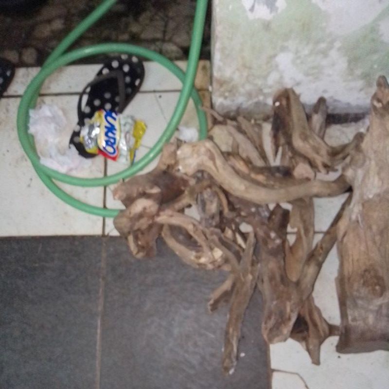 kayu aquascape