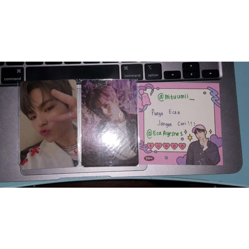 PC TREASURE OFFICIAL