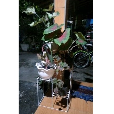 standing pot suaun tangga 4