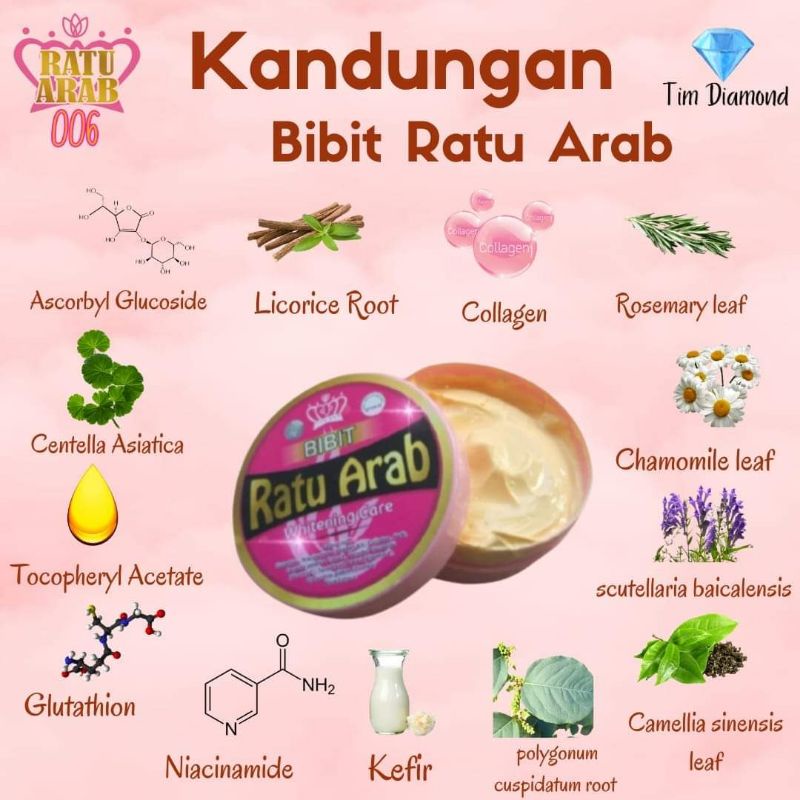 BIBIT RATU ARAB BPOM