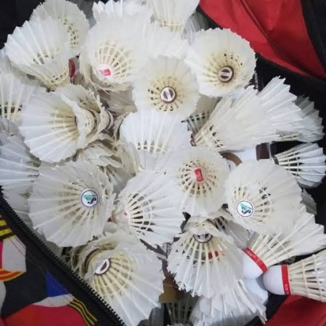 Shuttlecock