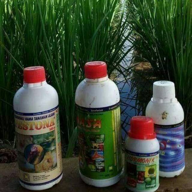 Pupuk padi nasa