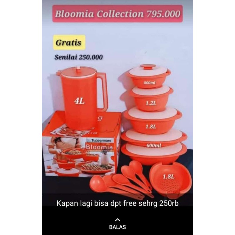Bloomia collection +pitcher 2l
