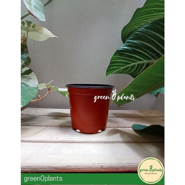 Pot Elastis BN 100