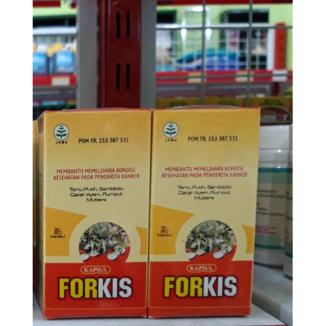 Kapsul Forkis Obat Herbal Kanker ( Asli  )