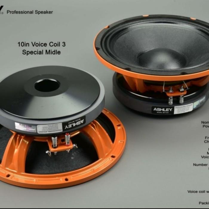 SPEAKER COMPONENT 10INCH ASHLEY MF 1030 ORIGINAL