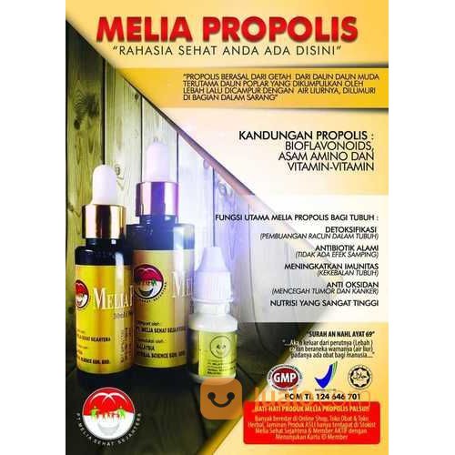 Propolis