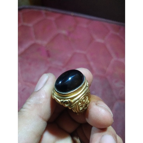 BadarBesiSulawesi
