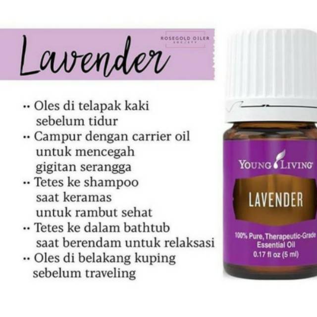 Lavender YL 5ml