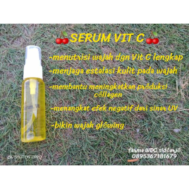 serum vit C