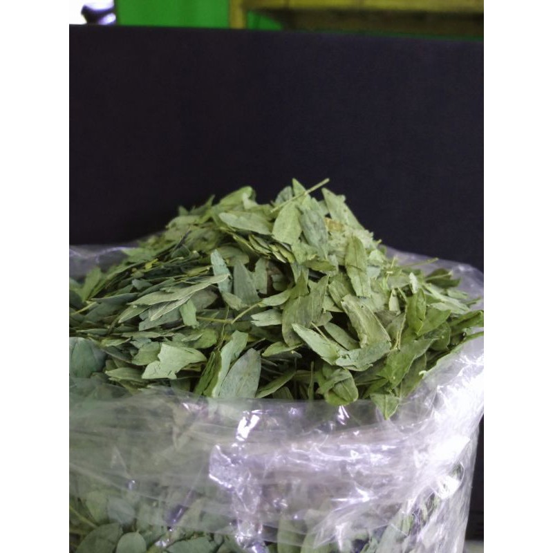 teh jati cina herbal