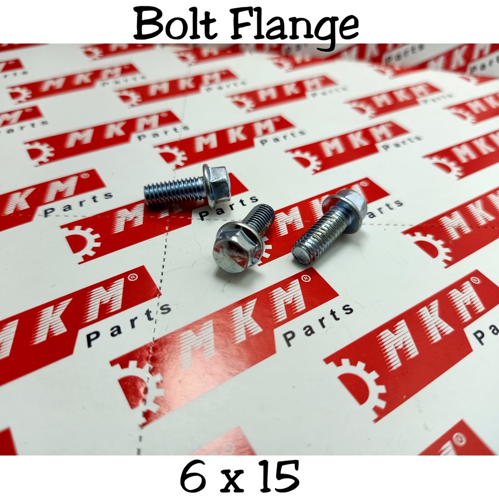 BOLT FLANGE 6 x 15