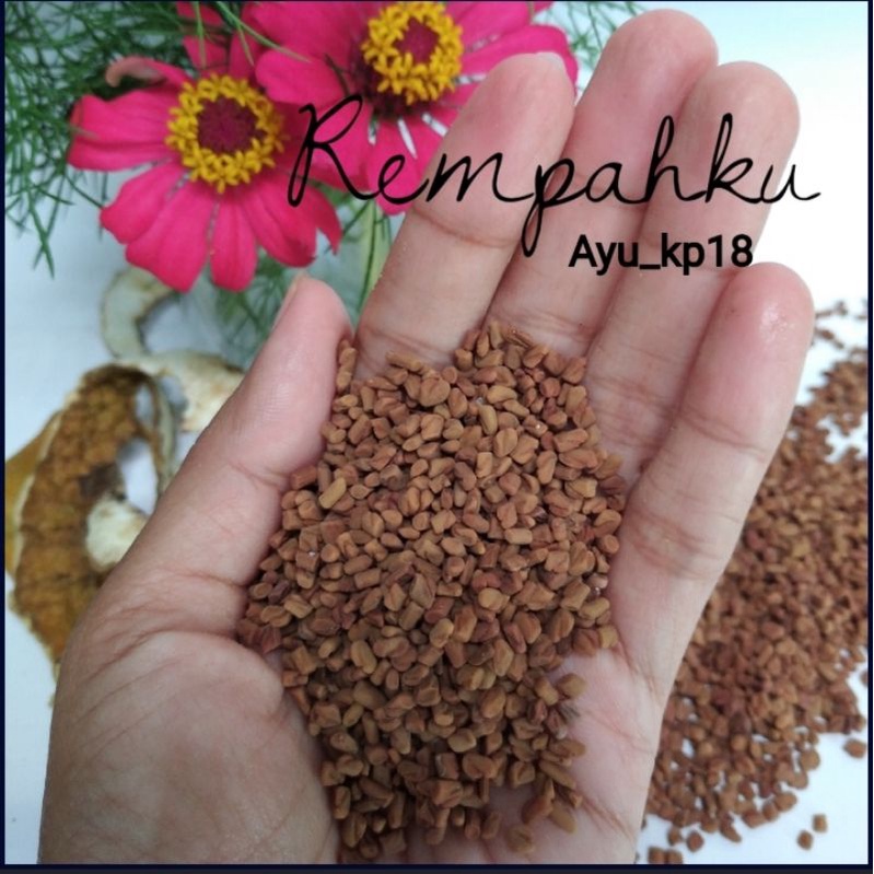 LULUR HERBA FENUGREEK