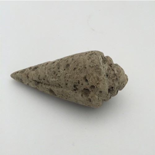 Batu Apung (keong)