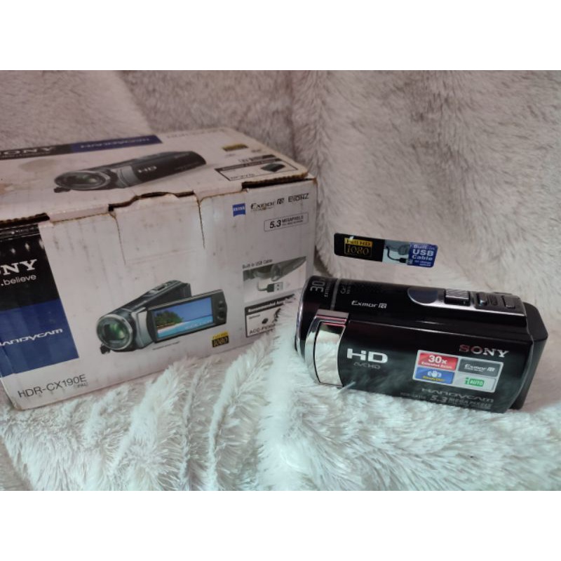 Handycamsonycx190